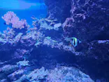 サンシャイン水族館に投稿された画像（2024/4/1）