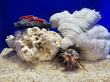 サンシャイン水族館に投稿された画像（2024/3/31）