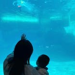 名古屋港水族館に投稿された画像（2024/4/1）