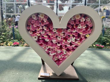 浜名湖花博2024に投稿された画像（2024/3/31）