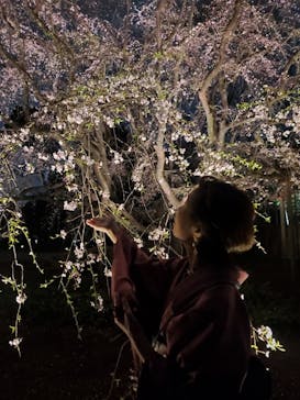 六義園に投稿された画像（2024/3/31）