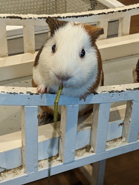 アニタッチみなとみらいに投稿された画像（2024/3/31）