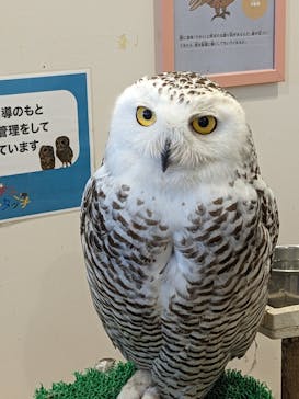 アニタッチみなとみらいに投稿された画像（2024/3/31）