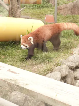 天王寺動物園に投稿された画像（2024/3/31）