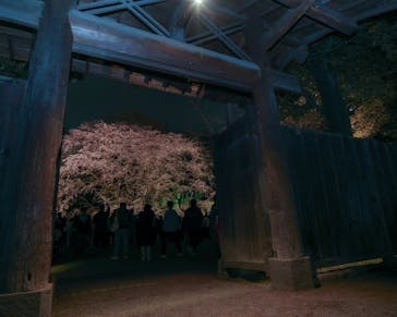 六義園に投稿された画像（2024/3/31）