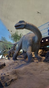 福井県立恐竜博物館に投稿された画像（2024/3/31）