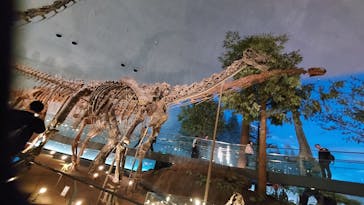 福井県立恐竜博物館に投稿された画像（2024/3/31）