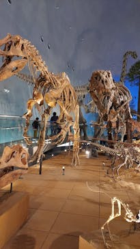 福井県立恐竜博物館に投稿された画像（2024/3/31）