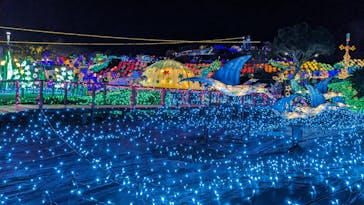 伊豆ぐらんぱる公園に投稿された画像（2024/4/1）