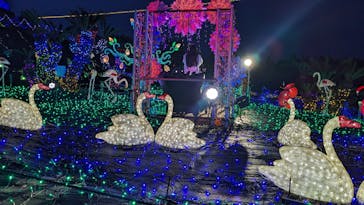 伊豆ぐらんぱる公園に投稿された画像（2024/4/1）