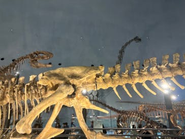 福井県立恐竜博物館に投稿された画像（2024/4/1）