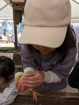 しろとり動物園に投稿された画像（2024/4/1）