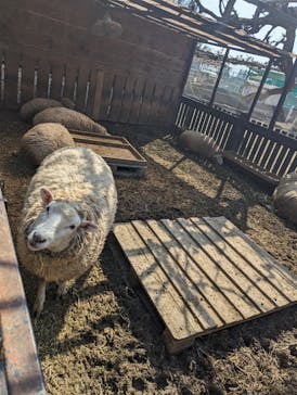 アソビュー！ポイントに投稿された画像（2024/4/1）