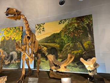 福井県立恐竜博物館に投稿された画像（2024/4/1）