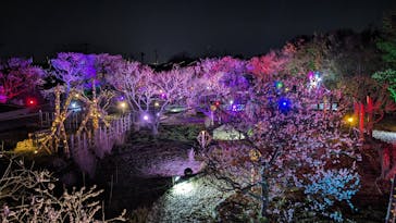 せんだい農業園芸センター　みどりの杜に投稿された画像（2024/4/1）