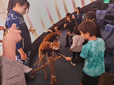 横浜・八景島シーパラダイスに投稿された画像（2024/4/1）