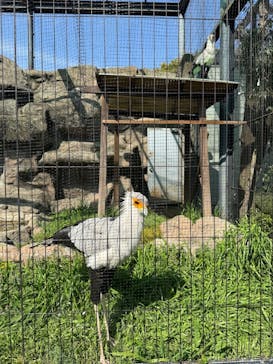 東武動物公園に投稿された画像（2024/4/1）