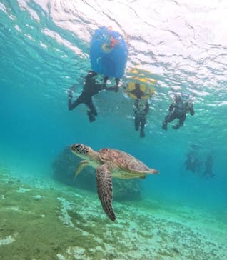 宮古島マリンショップSmileyに投稿された画像（2024/4/1）