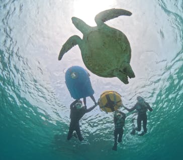 宮古島マリンショップSmileyに投稿された画像（2024/4/1）