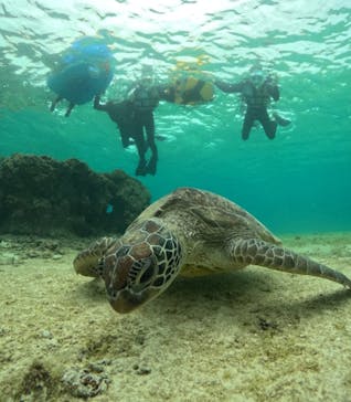 宮古島マリンショップSmileyに投稿された画像（2024/4/1）