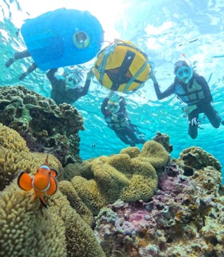 宮古島マリンショップSmileyに投稿された画像（2024/4/1）