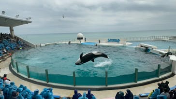 鴨川シーワールドに投稿された画像（2024/4/1）