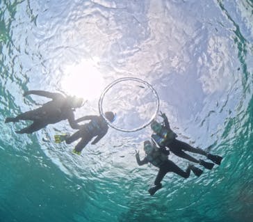 初心者専門宮古島シュノーケリングツアーに投稿された画像（2024/4/1）