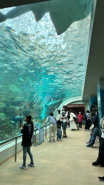 名古屋港水族館に投稿された画像（2024/4/1）