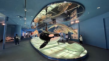 名古屋港水族館に投稿された画像（2024/4/1）