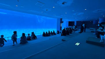 名古屋港水族館に投稿された画像（2024/4/1）