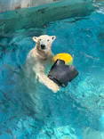 天王寺動物園に投稿された画像（2024/4/1）