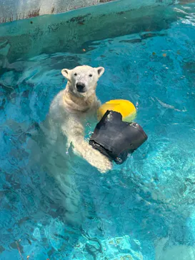 天王寺動物園に投稿された画像（2024/4/1）
