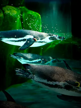 天王寺動物園に投稿された画像（2024/4/1）