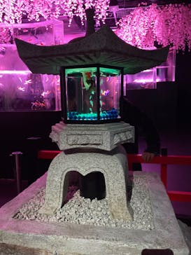 マクセル アクアパーク品川に投稿された画像（2024/4/1）