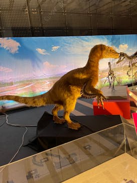 オダイバ恐竜博覧会2024 -福井から“ヤツラ”が新幹線でやってくる！-に投稿された画像（2024/4/1）