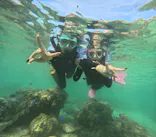 沖縄マリンサービス碧に投稿された画像（2024/4/1）