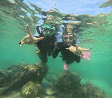 沖縄マリンサービス碧に投稿された画像（2024/4/1）