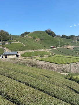 和束家に投稿された画像（2024/4/1）