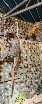 ナゴパイナップルパークに投稿された画像（2024/4/1）