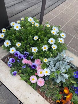 ムーミンバレーパークに投稿された画像（2024/4/1）