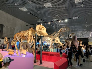 特別展「大哺乳類展３－わけてつなげて大行進」に投稿された画像（2024/4/1）