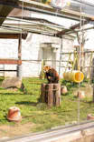 天王寺動物園に投稿された画像（2024/4/1）