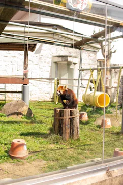 天王寺動物園に投稿された画像（2024/4/1）
