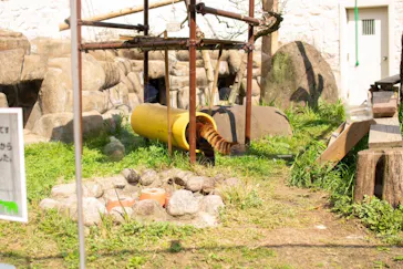 天王寺動物園に投稿された画像（2024/4/1）