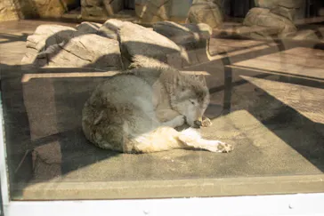 天王寺動物園に投稿された画像（2024/4/1）