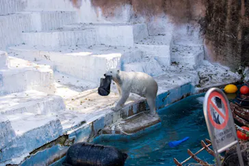 天王寺動物園に投稿された画像（2024/4/1）