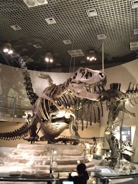 国立科学博物館に投稿された画像（2024/4/1）