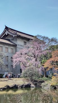 東京国立博物館に投稿された画像（2024/4/1）