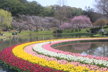 浜名湖花博2024に投稿された画像（2024/4/1）