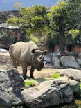 天王寺動物園に投稿された画像（2024/4/1）